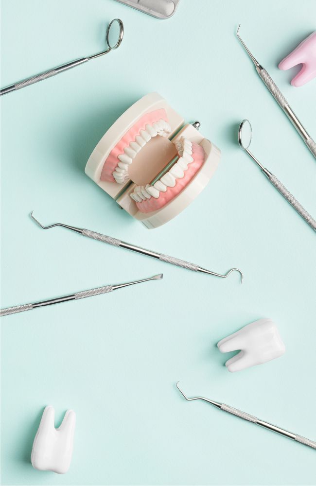 Un modello di dentatura con strumenti su fondo turchese
